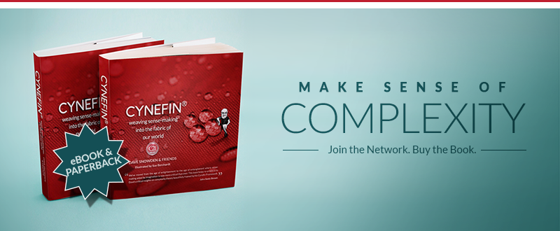 Join the Cynefin Network Banner 1