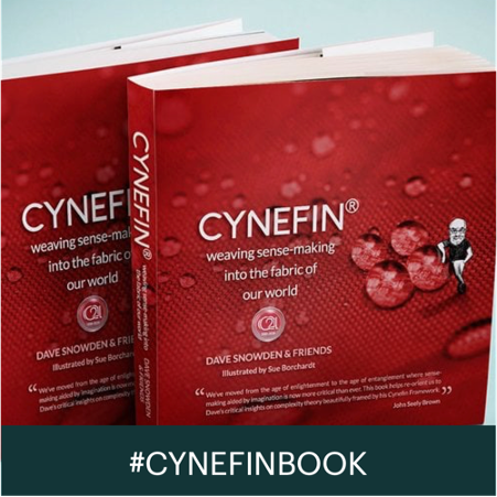 SIGNED COPY: Cynefin® - weaving sense-making into the fabric of our world