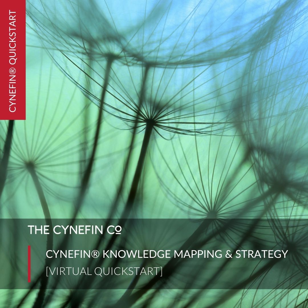 Cynefin Knowledge Mapping Strategy Quickstart The Cynefin Co cynefin-knowledge-mapping-strategy-quickstart-the-cynefin-co