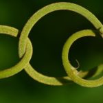 spiral-3473806_1280